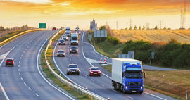 Potential disruptions to logistics and delivery delays